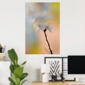 アプ素晴らし日本のリコット花 ポスター (ホームオフィス)