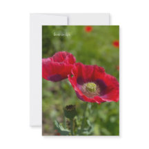 アヘンかわいらしケシ二杯