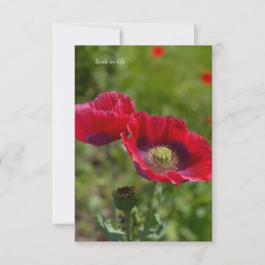 アヘンかわいらしケシ二杯 ノートカード (正面)