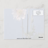 アヘンの白いケシの花(Papaver Somniferum) ポストカード (裏面)