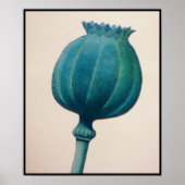 アヘン・ポピー ポスター (正面)