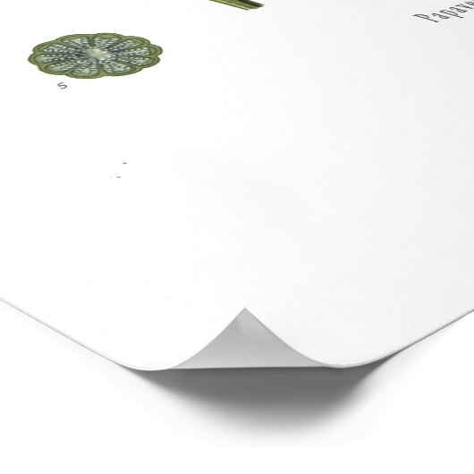 アヘン・ポピー ポスター (角)