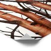 アベジュール・ロホス ポスター (角)