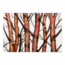 アベジュール・ロホス