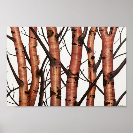 アベジュール・ロホス ポスター (正面)