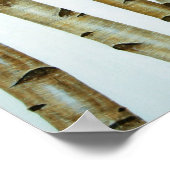 アベドルブランコス ポスター (角)