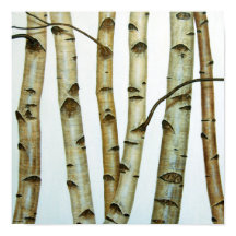 アベドルブランコス