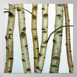 アベドルブランコス ポスター