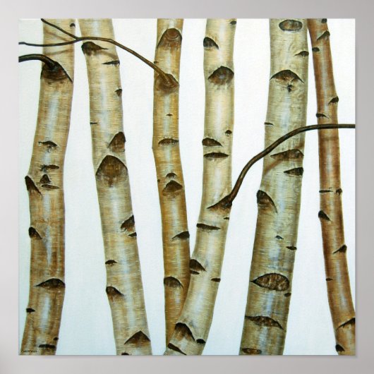 アベドルブランコス ポスター (正面)