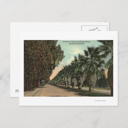 アベニュー沿いのヤシとコショウの木 ポストカード (正面/裏面)