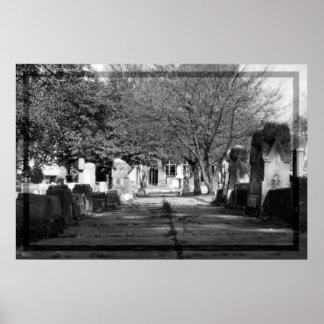 アベニュー ポスター