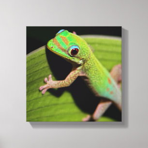 アベビーグリーンゲッコ キャンバスプリント