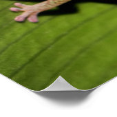 アベビーグリーンゲッコ ポスター (角)