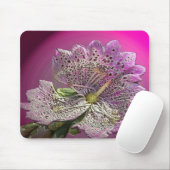 アベラントフォックスグローブマウスパッド マウスパッド (マウス)