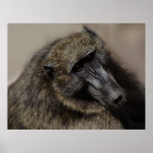 アペは永遠に愛する ポスター (正面)