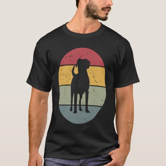 アペンツェラーヴィンテージ Tシャツ (正面)