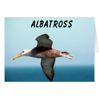 アホウドリの飛行