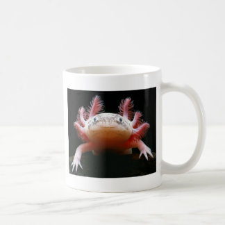 アホロートルAxolotl.png コーヒーマグカップ
