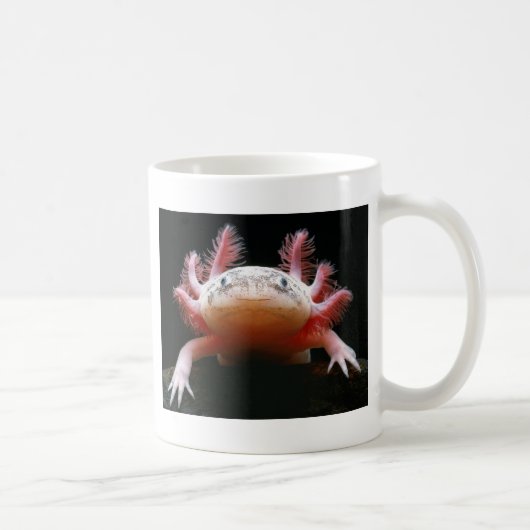 アホロートルAxolotl.png コーヒーマグカップ (右)