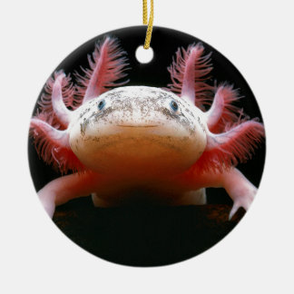 アホロートルAxolotl.png セラミックオーナメント