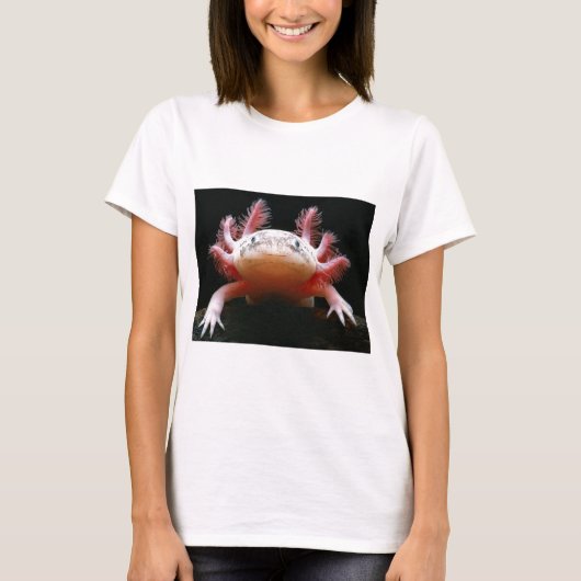 アホロートルAxolotl.png Tシャツ (正面)