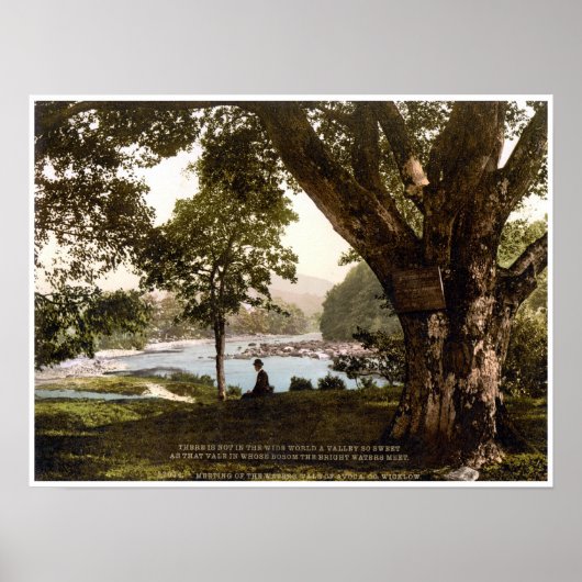 アボカウィックロー水面会詩アイルランド ポスター (正面)