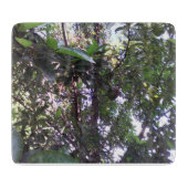 アボカドの木 カッティングボード (正面)