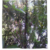 アボカドの木 シャワーカーテン (正面)