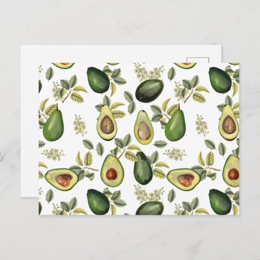 アボカドの水彩植物模様 シーズンポストカード (正面/裏面)