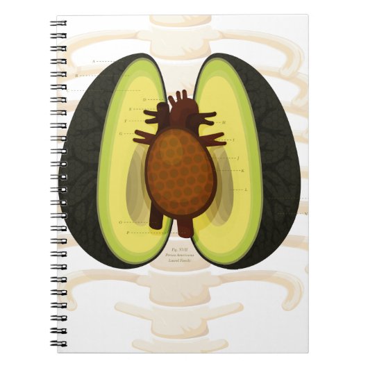 アボカドの解剖学 ノートブック (正面)