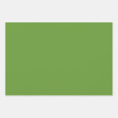 アボカドグリーン ラッピングペーパーシート (正面)