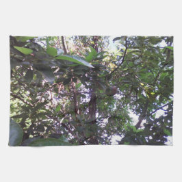 アボカドツリー キッチンタオル