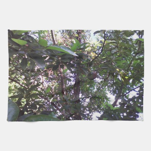 アボカドツリー キッチンタオル (横)