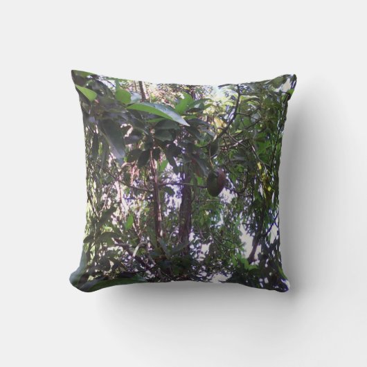 アボカドツリー クッション (正面)