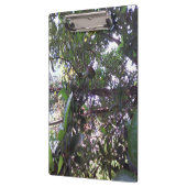 アボカドツリー クリップボード (左)