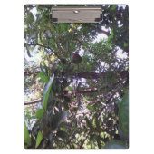 アボカドツリー クリップボード (正面)