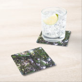 アボカドツリー スクエアペーパーコースター (インサイチュ)