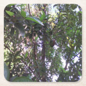 アボカドツリー スクエアペーパーコースター (正面)