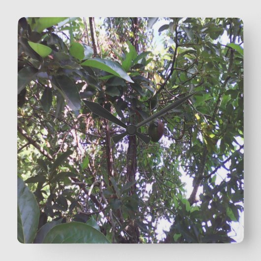 アボカドツリー スクエア壁時計 (正面)