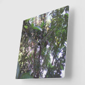 アボカドツリー スクエア壁時計 (傾斜)