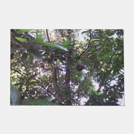 アボカドツリー ドアマット (正面)