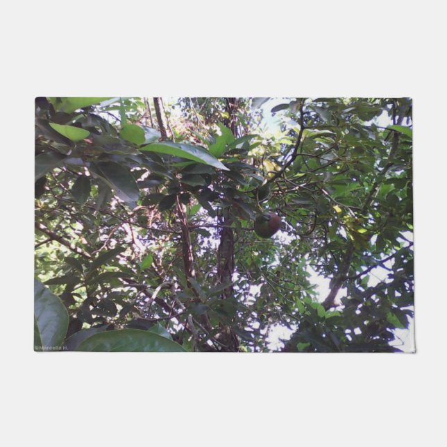 アボカドツリー ドアマット (正面)