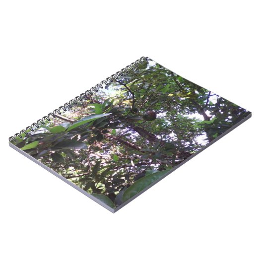 アボカドツリー ノートブック (左側)