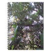 アボカドツリー ノートブック (正面)