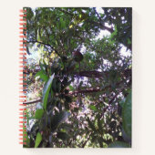 アボカドツリー ノートブック (正面)