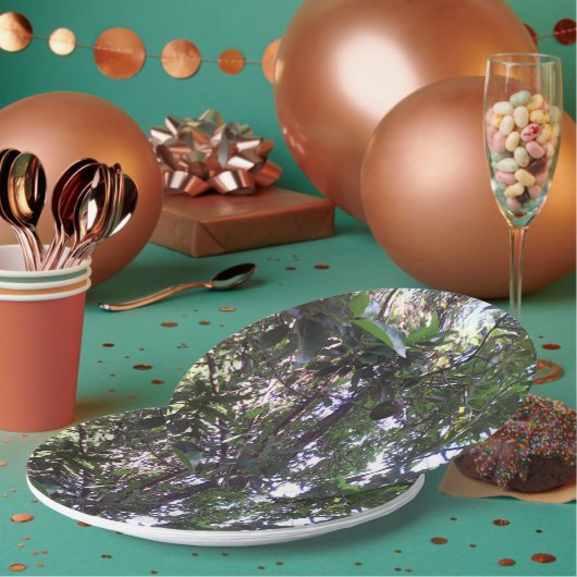 アボカドツリー ペーパープレート (複数)