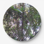 アボカドツリー ペーパープレート (正面)