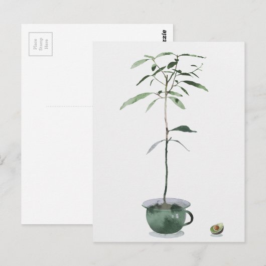 アボカドツリー ポストカード (正面/裏面)