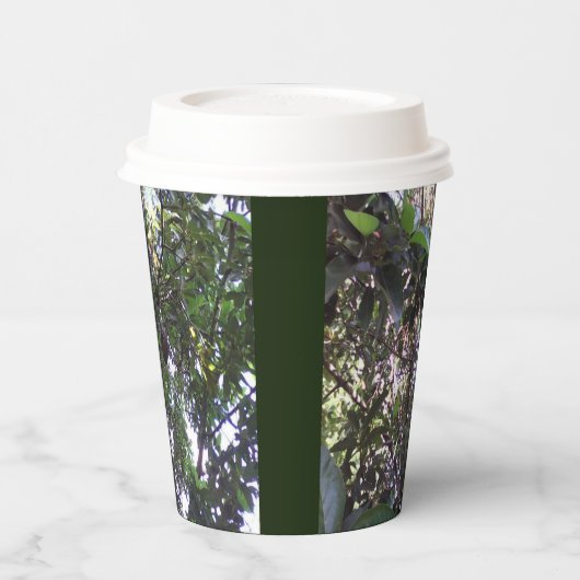 アボカドツリー 紙コップ (左)