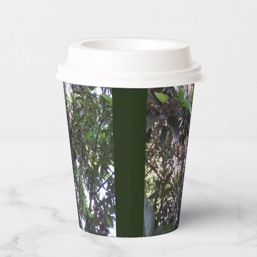 アボカドツリー 紙コップ (右)